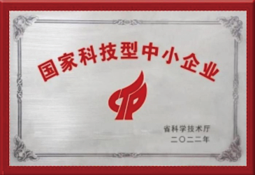 國家科技型上小企業