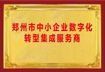 數字化轉型集成服務商